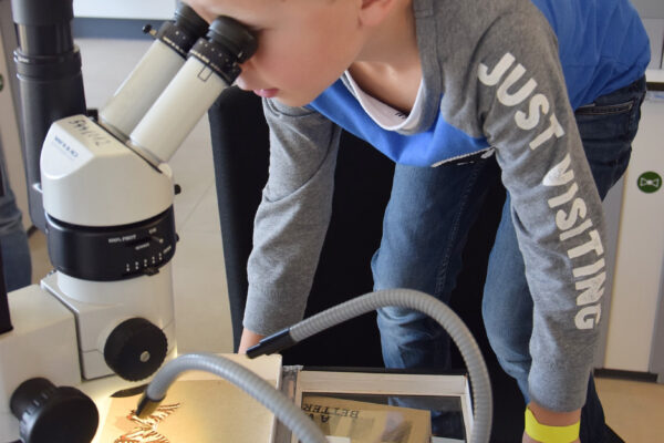 Junger Forscher am Mikroskop