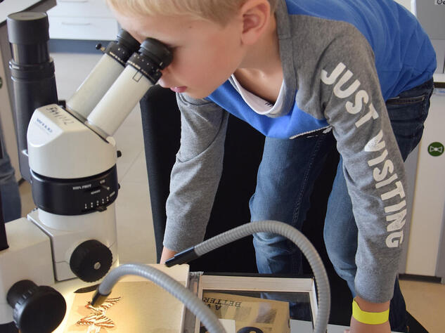 Schüler als junger Forscher am Mikroskop